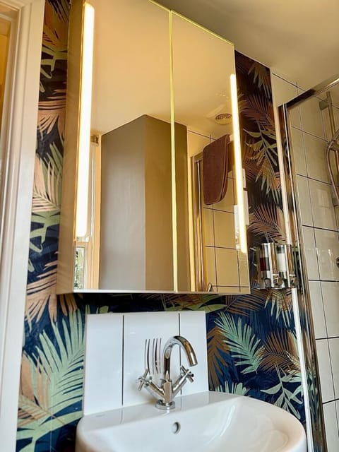 Single Room, River View (Room 5 Yr Elen) | Bathroom | Shower, free toiletries, hair dryer, bathrobes