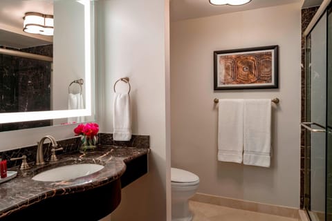 Designer toiletries, hair dryer, towels