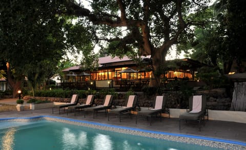Outdoor pool, sun loungers