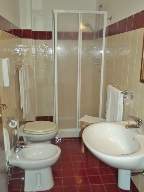 Shower, free toiletries, hair dryer, bidet
