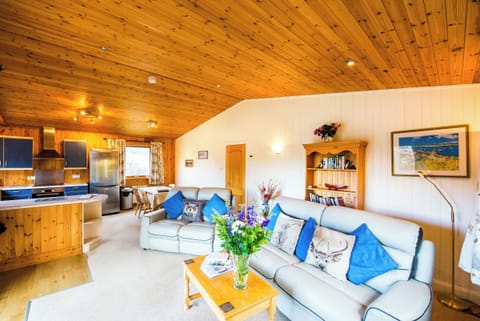 Chalet | Living room | 30-inch TV with satellite channels, fireplace, DVD player
