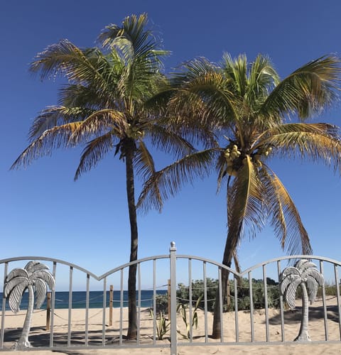 Standard Studio, Ocean View, Oceanfront | Iron/ironing board, free WiFi, wheelchair access