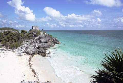 Beach nearby, beach umbrellas, beach towels, scuba diving
