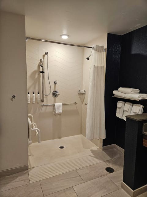 Room, 1 King Bed (Mobility/Hearing Access, Roll-In Shwr) | Bathroom | Shower, free toiletries, hair dryer, towels
