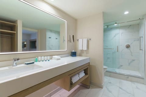 Free toiletries, hair dryer, bathrobes, towels