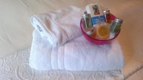 Twin Room | Bathroom amenities | Shower, free toiletries, hair dryer, slippers