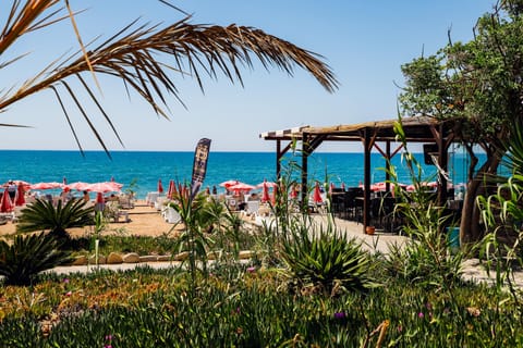 Beach bar