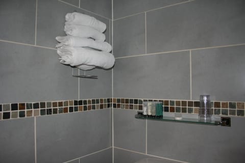 Shower, free toiletries, hair dryer, towels