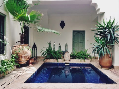 Outdoor pool, sun loungers