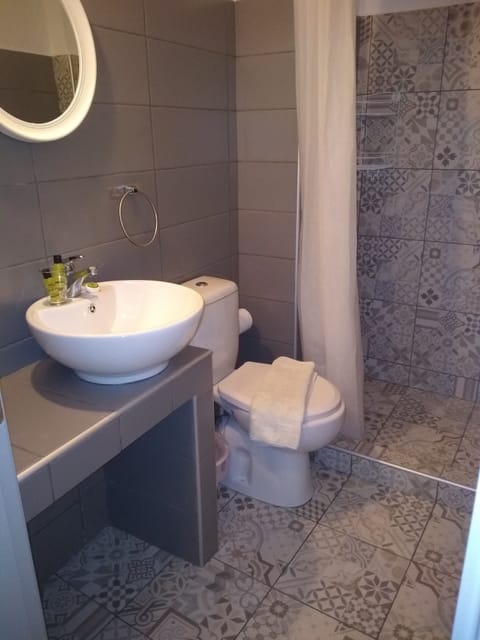 Double or Twin Room | Bathroom | Shower, free toiletries, hair dryer, bathrobes