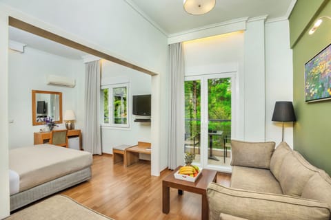 Minibar, in-room safe, iron/ironing board, free WiFi