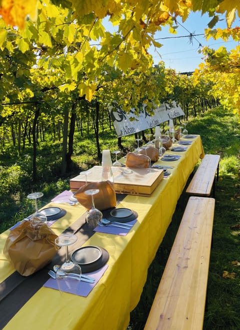 Vineyard