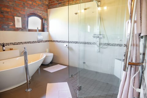 Delux Suite | Bathroom | Free toiletries, hair dryer, bathrobes, slippers