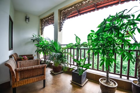 View from room