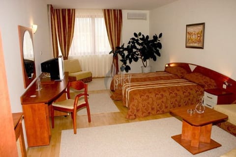 Double or Twin Room | Minibar, desk, free WiFi