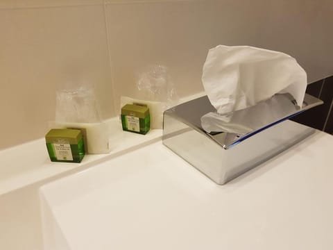 Combined shower/tub, free toiletries, hair dryer, towels