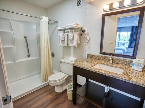 Combined shower/tub, free toiletries, hair dryer, towels
