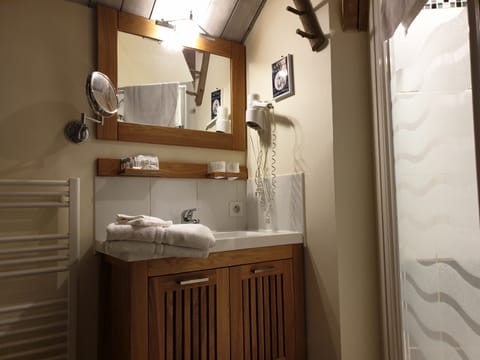 Double Room (1) | Bathroom | Shower, rainfall showerhead, free toiletries, hair dryer
