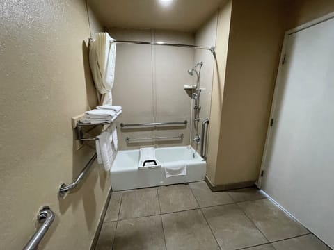 Deluxe Room | Bathroom | Shower, hair dryer, towels