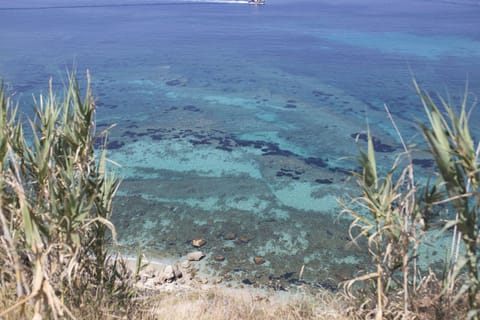 Beach shuttle