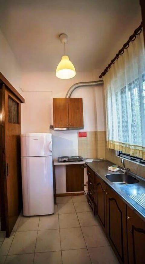 Basic Double Room, 1 Bedroom, Kitchen, Partial Sea View | Private kitchen | Full-size fridge, stovetop, cookware/dishes/utensils