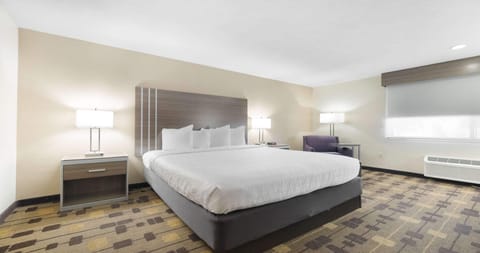 Standard Room, 1 Queen Bed, Non Smoking, Refrigerator & Microwave | Blackout drapes, iron/ironing board, WiFi, bed sheets