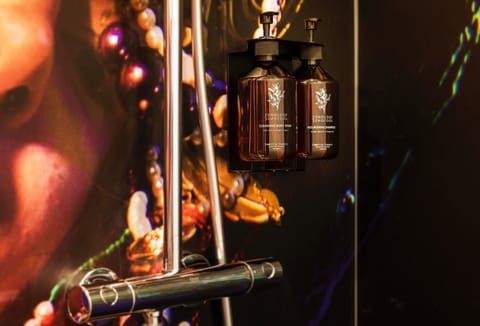 Shower, rainfall showerhead, free toiletries, hair dryer