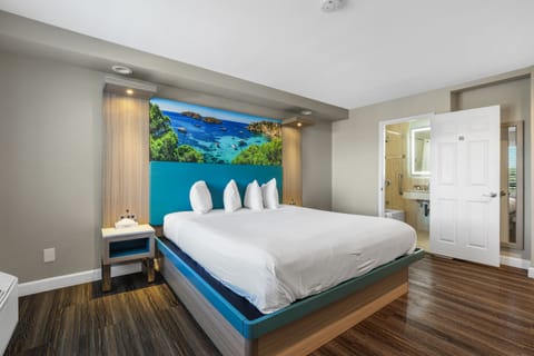 Economy Single Room, 1 King Bed | Egyptian cotton sheets, premium bedding, pillowtop beds, desk