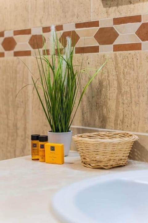 Deluxe Double Room | Bathroom | Hydromassage showerhead, designer toiletries, hair dryer, bathrobes