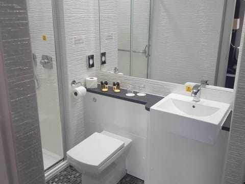 Deluxe Double Room | Bathroom | Combined shower/tub, free toiletries, hair dryer, towels