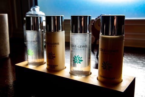 Double or Twin Room | Individually decorated, individually furnished, rollaway beds, free WiFi