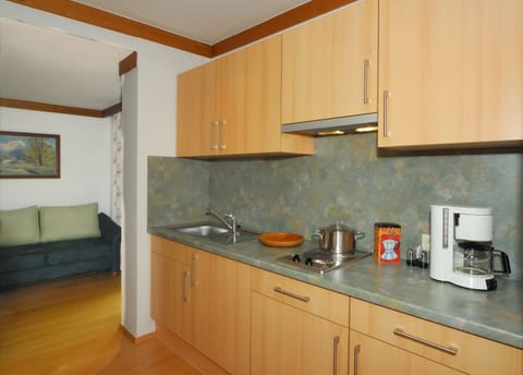 Standard Apartment, Annex Building | Private kitchen