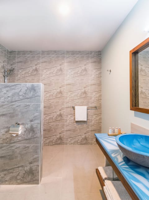 Shower, free toiletries, hair dryer, towels