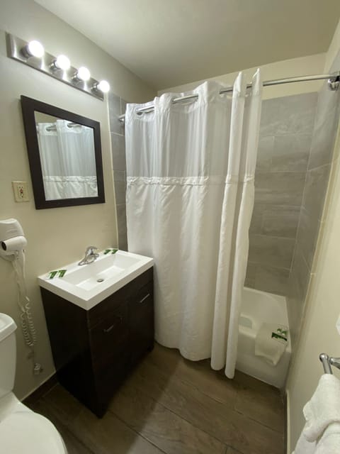 Suite, Accessible, Refrigerator & Microwave | Bathroom | Eco-friendly toiletries, hair dryer, towels