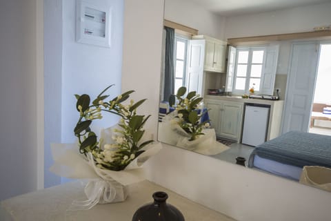 Standard Studio | Private kitchen | Fridge, oven, electric kettle, cookware/dishes/utensils