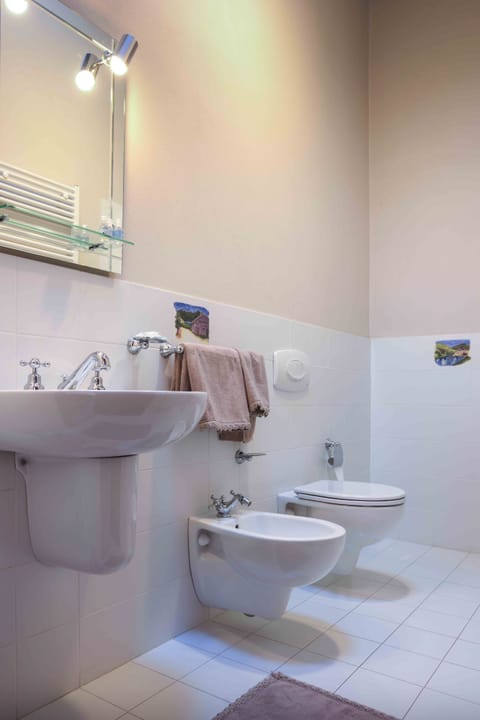 Hair dryer, bidet, towels