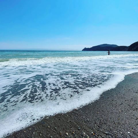 On the beach, surfing, fishing
