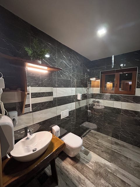 Deluxe Double Room | Bathroom | Shower, free toiletries, towels