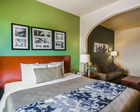 Suite, 1 King Bed, Non Smoking | Pillowtop beds, desk, blackout drapes, iron/ironing board