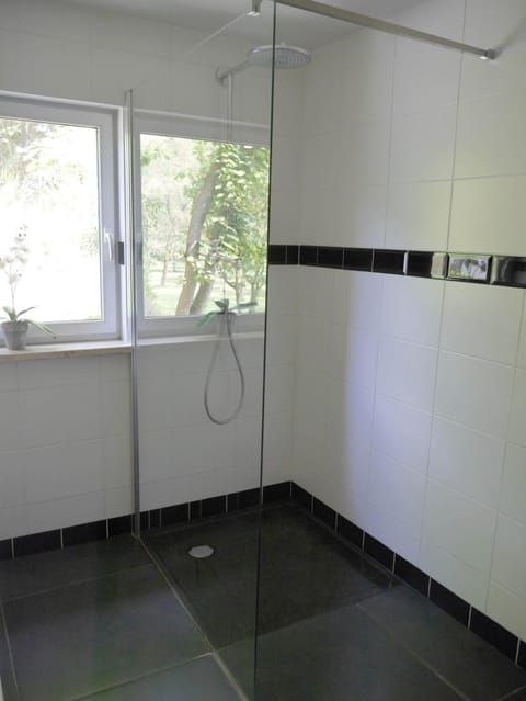 Shower, free toiletries, hair dryer, towels