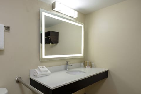 Deluxe Room, 1 King Bed, Accessible, Non Smoking | Bathroom | Free toiletries, towels