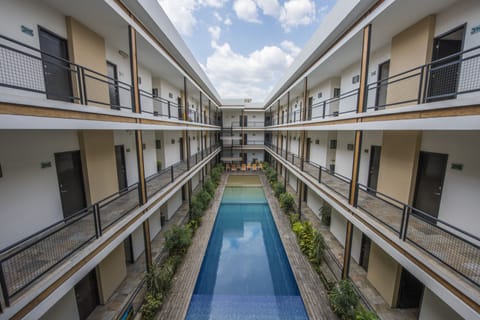 Outdoor pool, sun loungers