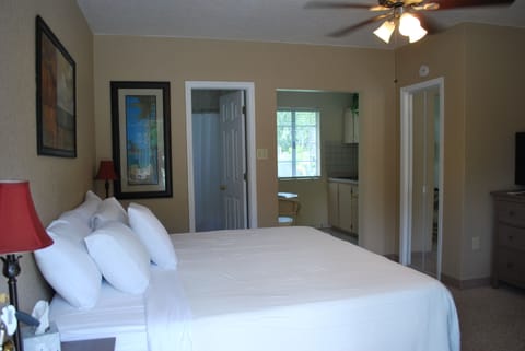 Premium Suite, 1 King Bed, Non Smoking, Garden View | 1 bedroom, Egyptian cotton sheets, premium bedding, soundproofing