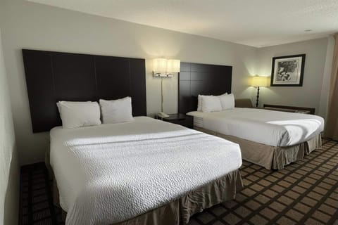Studio Suite, 2 Queen Beds, Non Smoking | Hypo-allergenic bedding, in-room safe, desk, blackout drapes