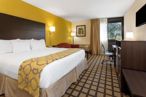 Room, 1 King Bed, Non Smoking | Hypo-allergenic bedding, in-room safe, desk, blackout drapes