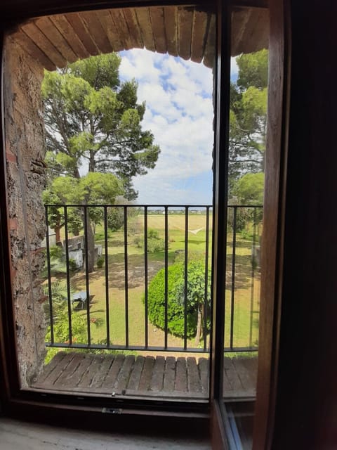 Junior Suite | Garden view