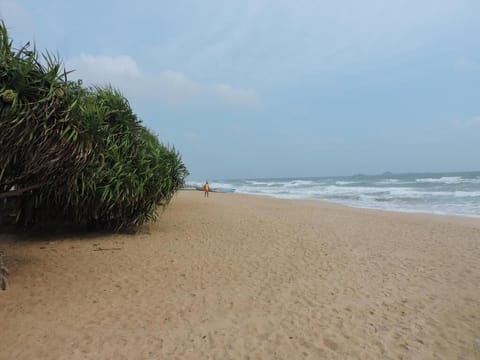 On the beach, scuba diving, snorkeling