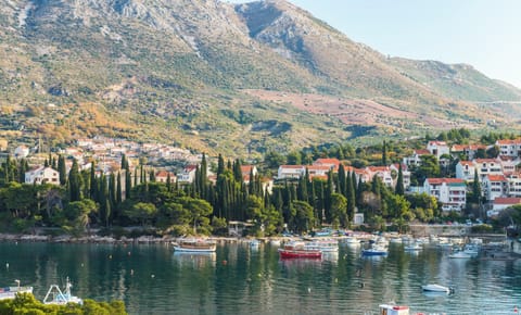 Double Room (Apartments & Rooms Mihajica- Standard) | View from property