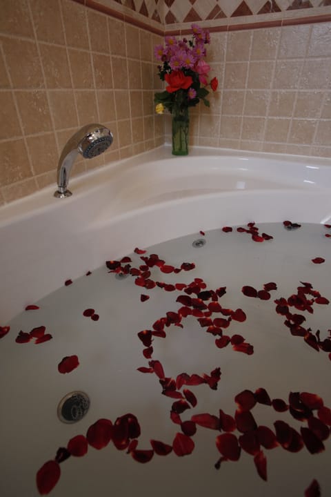 Double or Twin Room | Bathroom | Free toiletries, towels