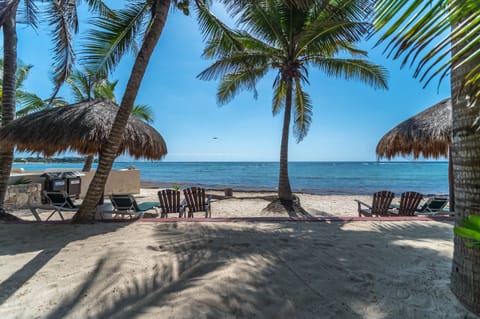 On the beach, sun loungers, scuba diving, snorkeling